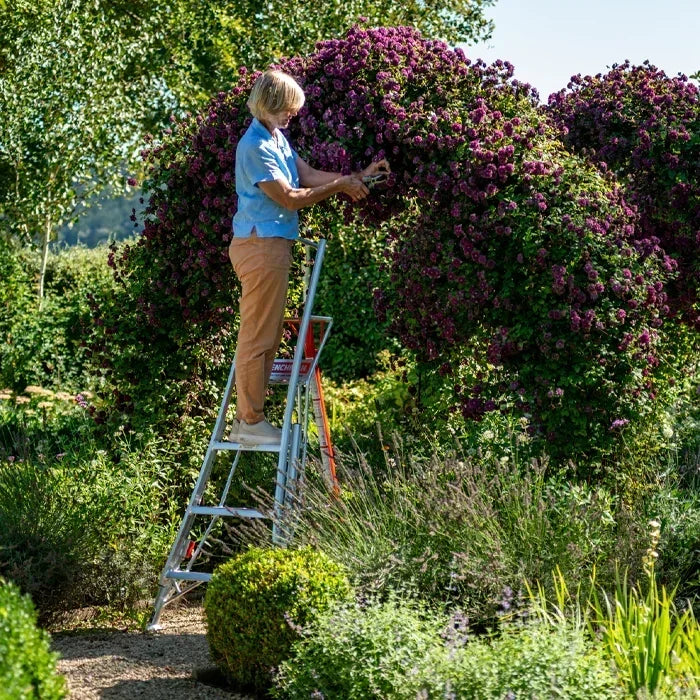 6ft Fully Adjustable PRO Tripod Ladder