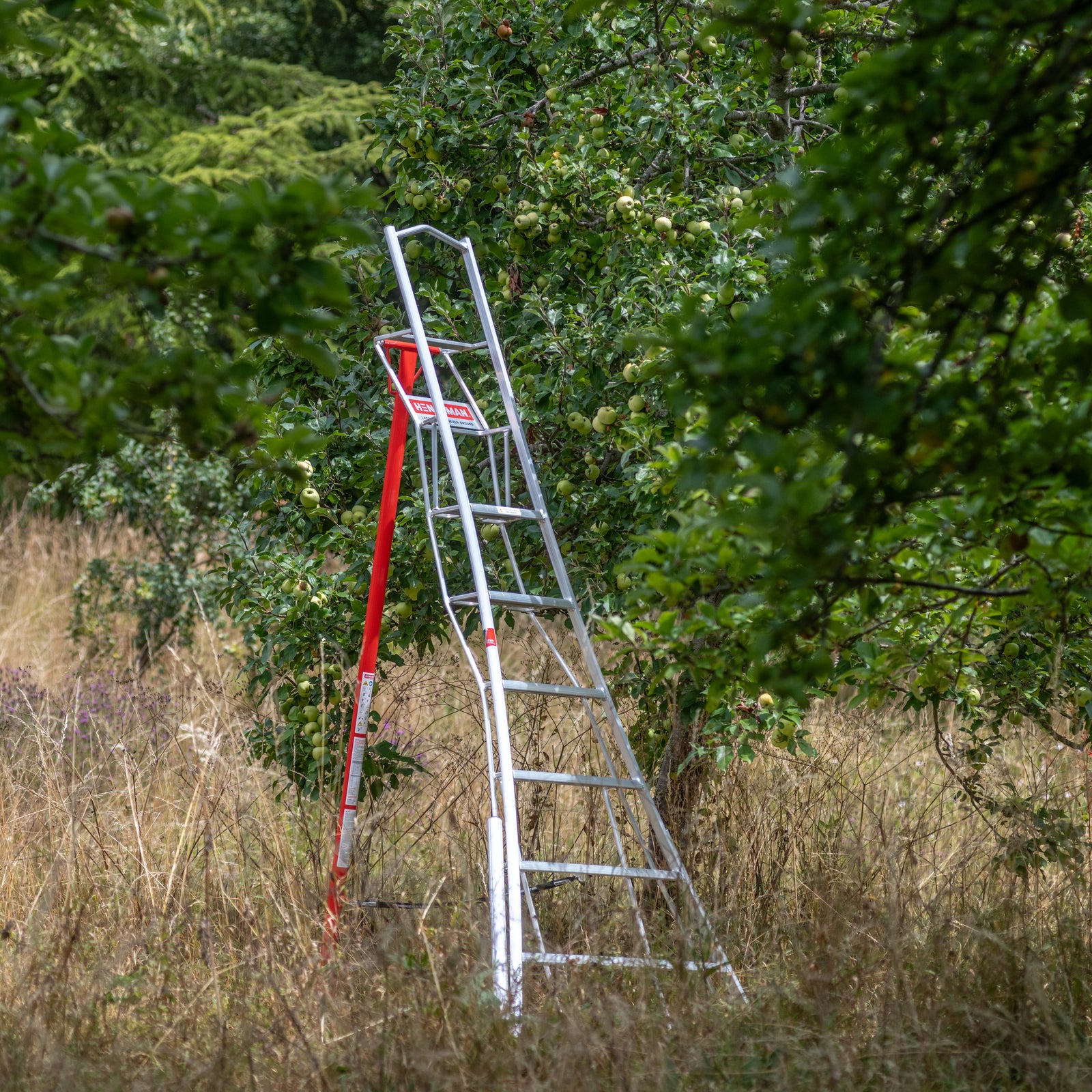 Henchman Fully Adjustable PRO Tripod Ladder