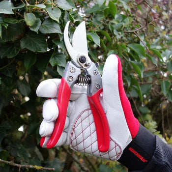 Henchman Gardening Gloves - using secateurs