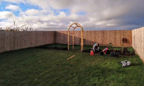 a person working in their garden