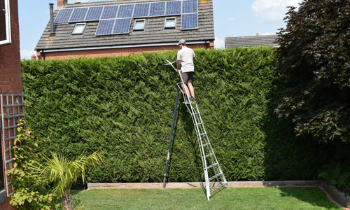 A guide to hedge cutting safely