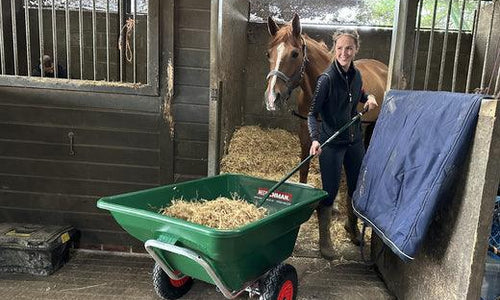 Henchman wheelbarrow filled with hay