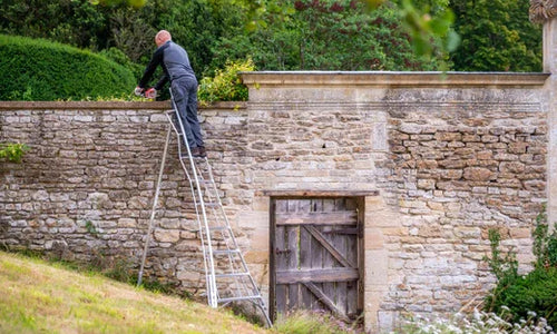 Man on tripod ladder inspecting wall