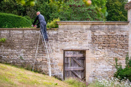 Man on tripod ladder inspecting wall