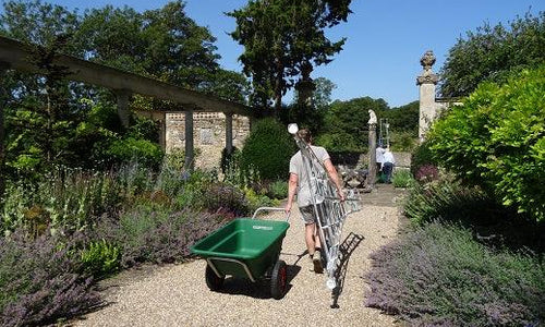 Person carrying a ladder and pulling a wheelbarrow through a garden path