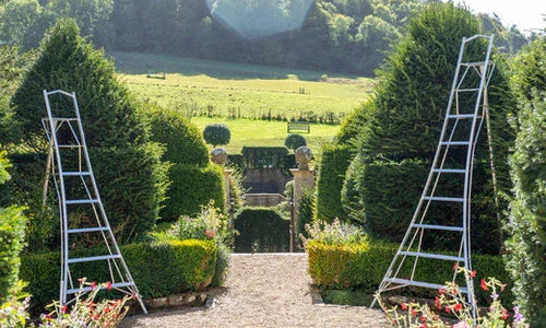 Two Henchman Tripod ladders in a topiary garden