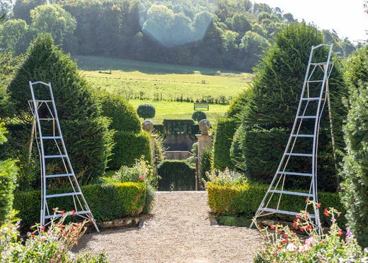 Two Henchman Tripod ladders in a topiary garden