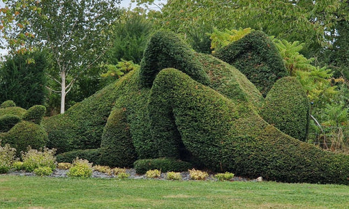 Enter the 2026 Henchman Topiary Awards