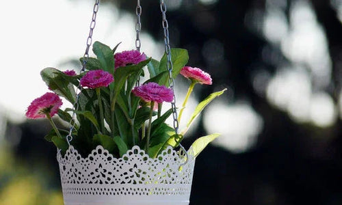 White hanging basket with pink flowers