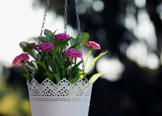 White hanging basket with pink flowers