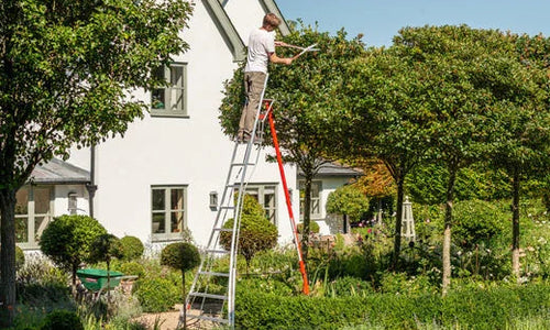 Man trimming a tree on top of a Henchman
