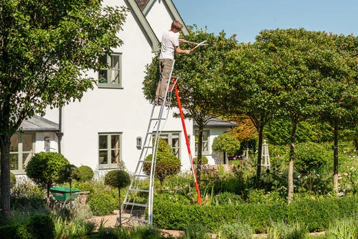 Man trimming a tree on top of a Henchman