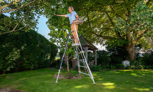 Types of Ladders