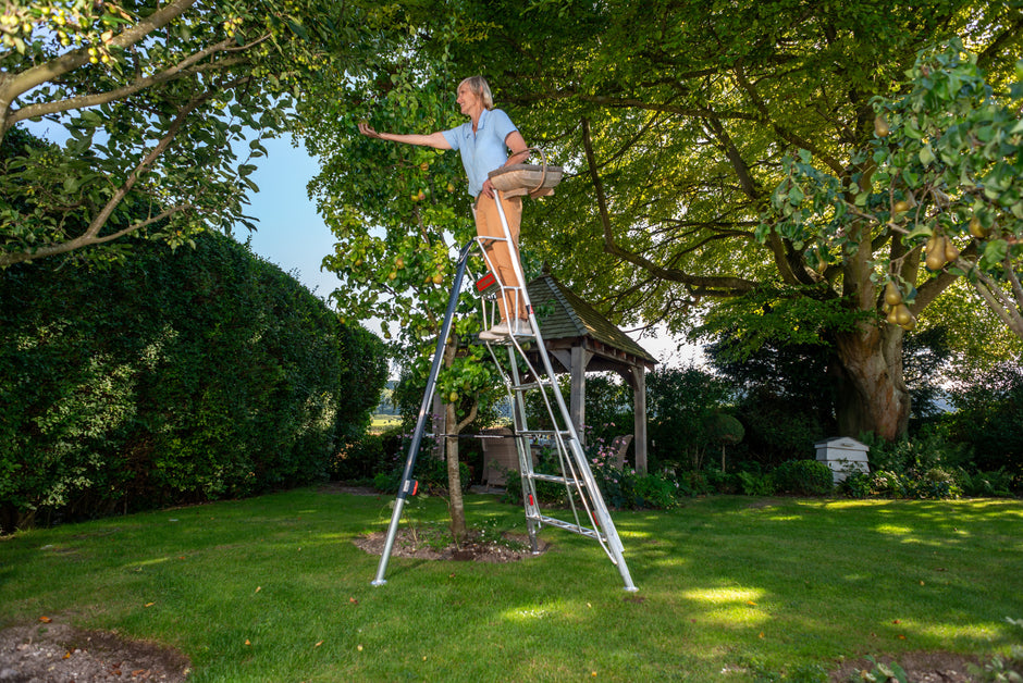 Types of Ladders