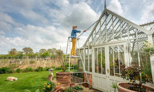 Cleaning a greenhouse with a Henchman Hi Step Ladder