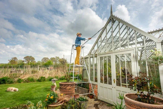 Cleaning a greenhouse with a Henchman Hi Step Ladder
