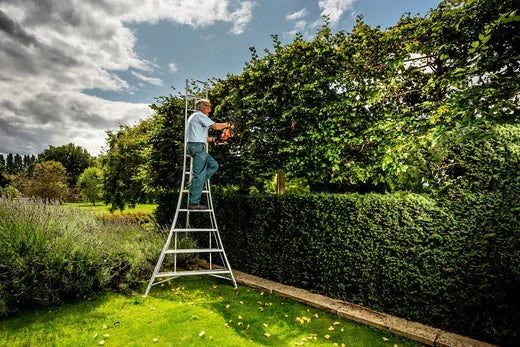 Man stood on ladder cutting a hedge with a hedge trimmer