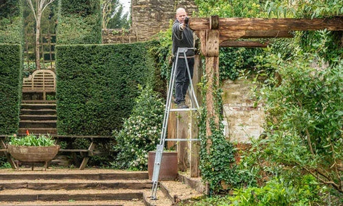 Man stood on a platform ladder pruning trailing ivy