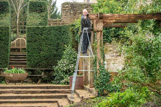 Man stood on a platform ladder pruning trailing ivy