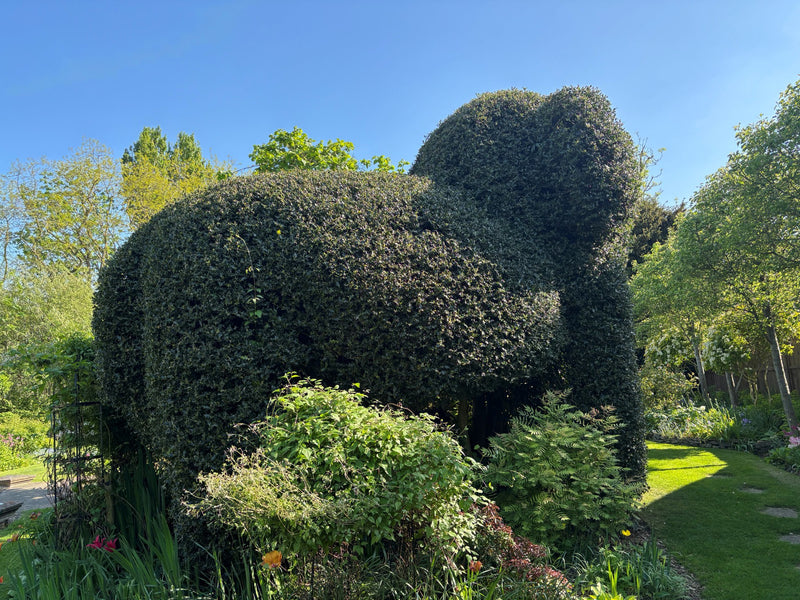 <h4><strong>Runner-up: Angela Hawkins</strong></h4>