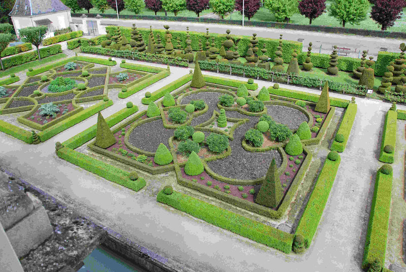 <h4>Winner: Cédric Bronnimann</h4>