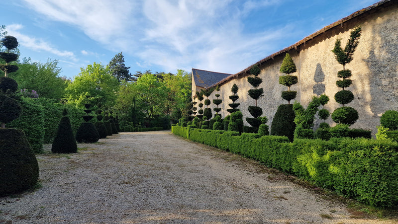 <h4>Winner: François Vandangeon</h4>