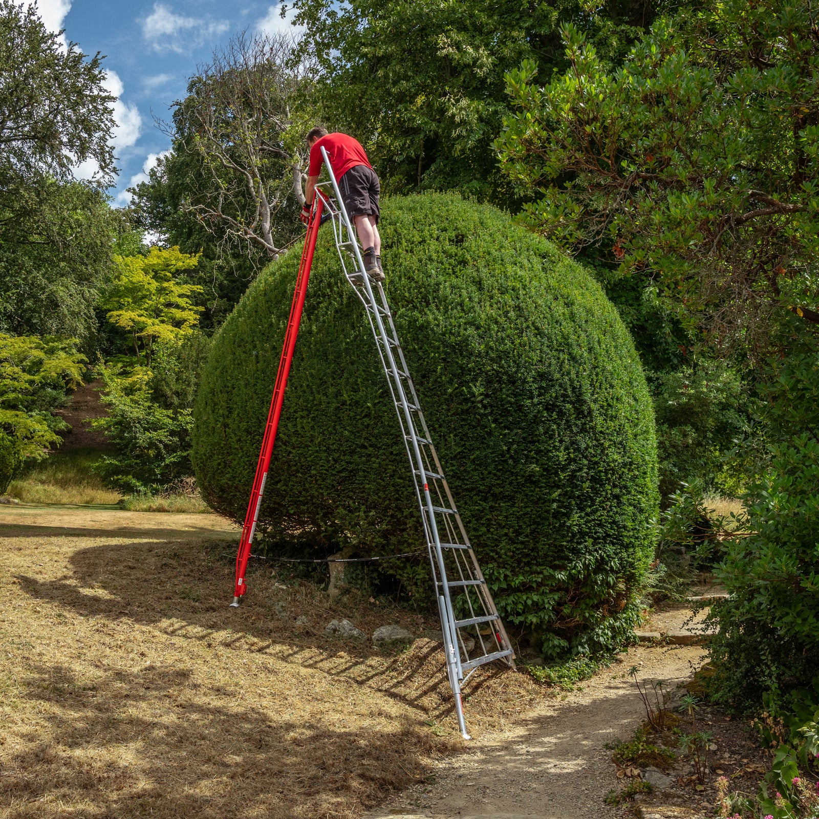 Henchman Fully Adjustable PRO Tripod Ladder