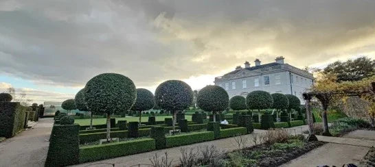 <h4>Winner: Harrie Carnochan</h4>