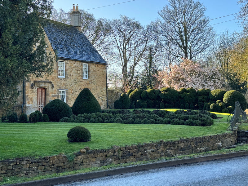 <h4><strong>Runner-up: Petra Hoyer-Millar</strong></h4>