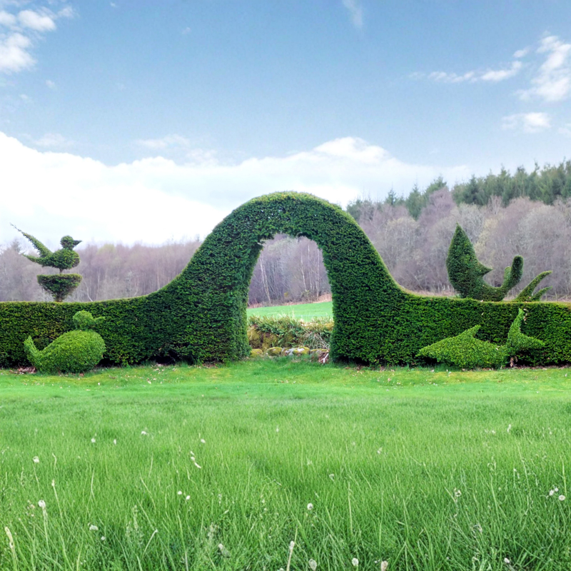 <h4>Winner: David Hawson</h4>