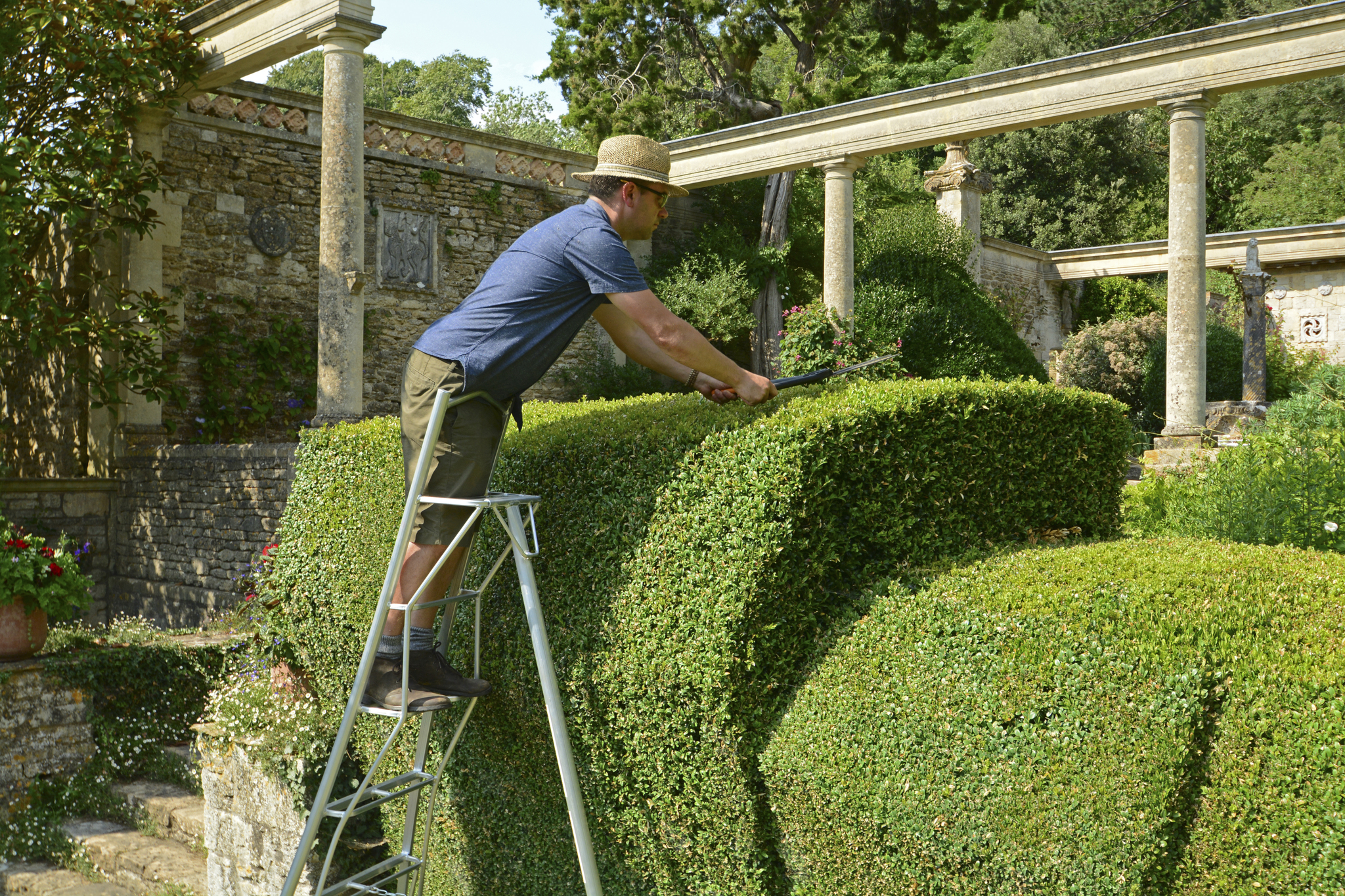 A guide to hedge cutting safely