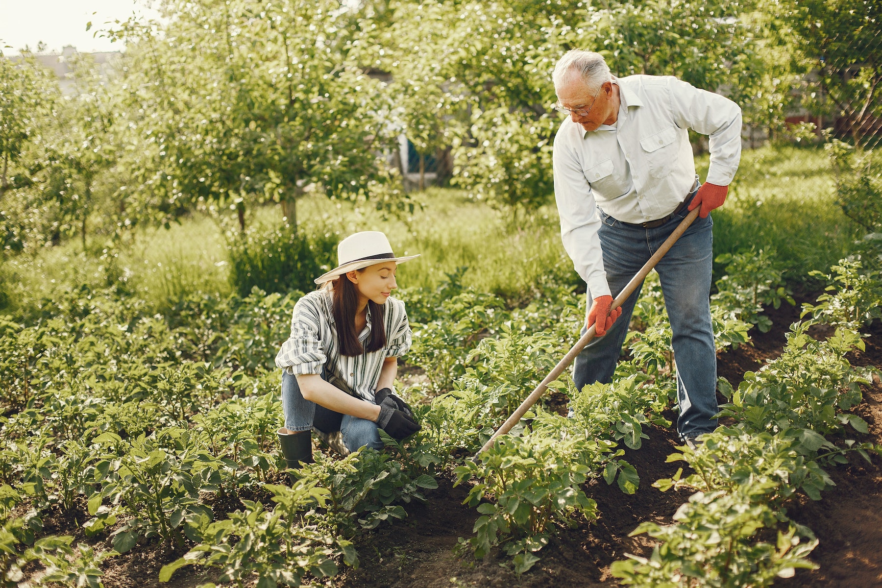 How gardening can improve your mental health during the pandemic 