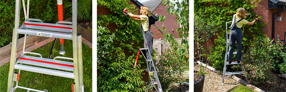 Henchman ladder being used to prune a wall plant