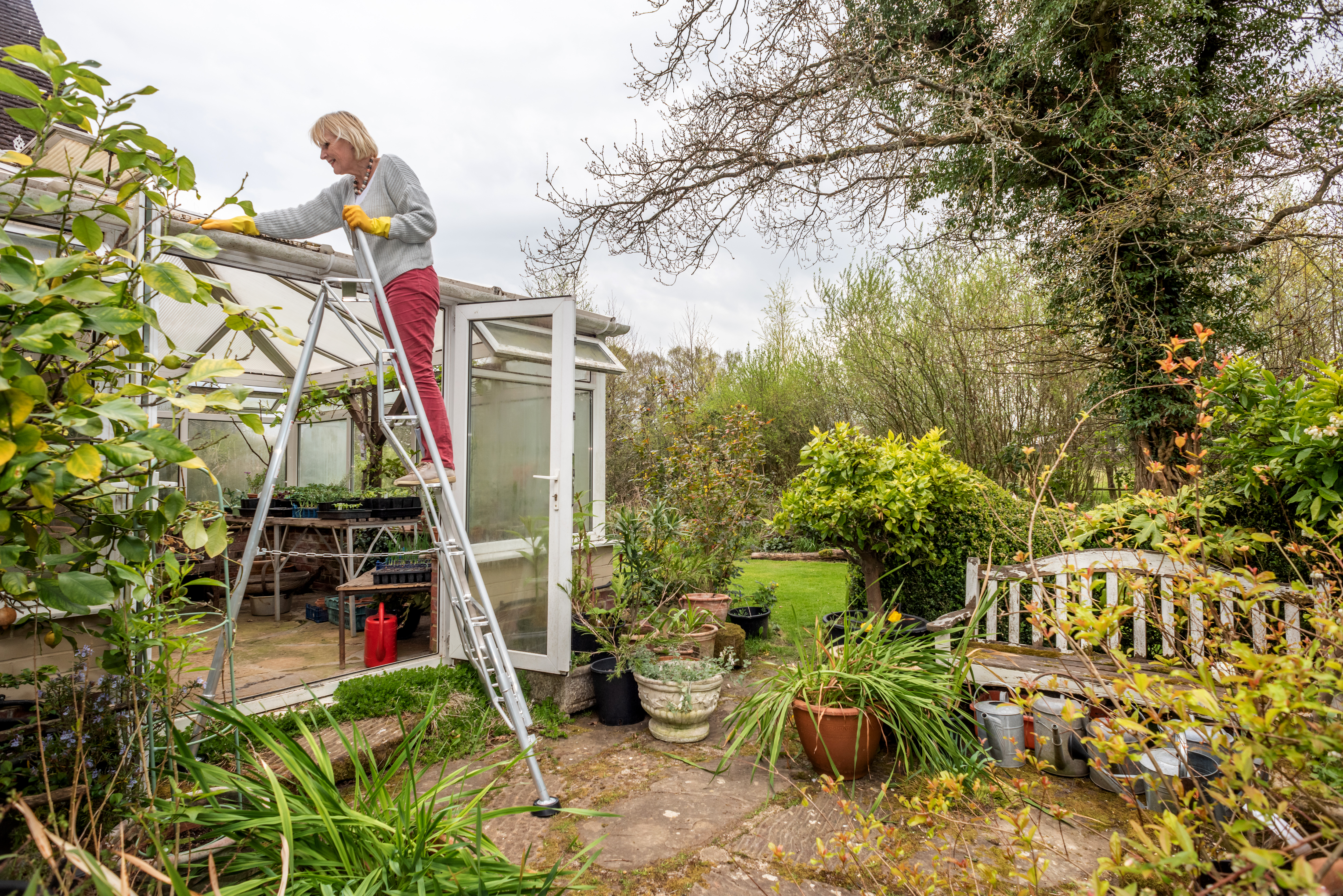 Standing on a tripod to wipe a greenhouse roof